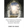 Pray-Through Prayers to Defeat Attacks Against Destiny