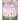 The Memory Keepers