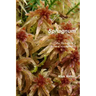 Sphagnum