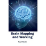 Brain Mapping and Working