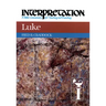Luke: Interpretation: A Bible Commentary for Teaching and Preaching