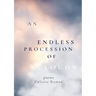 An Endless Procession of Clouds