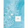 Heaven on Earth: Studies in Matthew Learen Year A