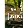 A Shot at Justice: A Highly Addictive Vigilante Story