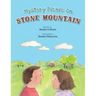 Mystery Picnic on Stone Mountain