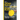 The Yellow Agent from Hong Kong