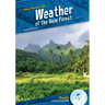 Weather of the Rain Forest