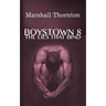 Boystown 8: The Lies That Bind