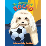 The Adventures of Bocho