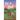 Not so Bad: A small-town coming-home story