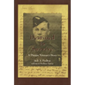 Destined to Survive: A Dieppe Veteran's Story