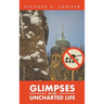 Glimpses of an Uncharted Life: The Empire Collapsed, but the Evil Remained
