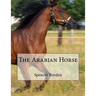 The Arabian Horse