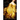Girl on the Golden Coin