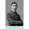 Investigations of a Dog