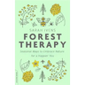 Forest Therapy: Seasonal Ways to Embrace Nature for a Happier You