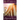 Today's Apostle