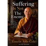 Suffering Is Not The Enemy