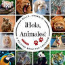 ¡Hola, Animales!: A Bilingual Picture Book to Build Vocabulary and Learn Animal Names and in Spanish and English