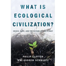 What Is Ecological Civilization: Crisis, Hope, and the Future of the Planet