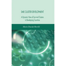 Sme Cluster Development: A Dynamic View of Survival Clusters in Developing Countries