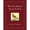 Why the Robin's Breast Is Red