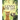 Lenny the Lion