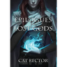 Epilogues for Lost Gods