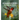 The Hummingbird Handbook: Everything You Need to Know about These Fascinating Birds