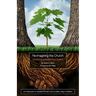 Re-Imagining the Church: Developing a Healthy Root System: An Introduction to Gospel-Formed Communities Living on Mission