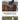 Dressage Secrets for Introductory Level