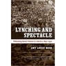 Lynching and Spectacle: Witnessing Racial Violence in America, 1890-1940
