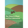 The Tobacco Plant and Its Cultivation - A Collection of Historical Articles on the Varieties, Growth and Harvesting of Tobacco Plants