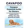 Cavapoo. Cavapoo Essential Guide for Owners. Cavapoo book for training, care, costs, grooming and health.