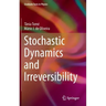 Stochastic Dynamics and Irreversibility