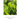 Regenerative Viticulture