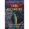 Lark Ascending