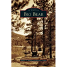 Big Bear