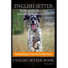 English Setter Training, Dog Care, Dog Behavior, for English Setters By D!G THIS DOG Training, Training Begins From the Car Ride Home, English Setter