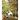 Nonna and the Great Horse Rescue