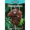 Orangutans