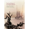 Good Pirates of the Forgotten Bayous