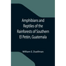 Amphibians and Reptiles of the Rainforests of Southern El Petén, Guatemala
