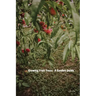 Growing Fruit Trees: A Garden Guide