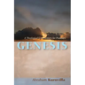 Genesis: A Theological Commentary for Preachers