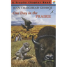 One Day in the Prairie