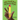 Little Pencil Finds His Forever Friends: A Rhyming Pencil Grip Picture Book