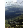 Sidewalks in the Jungle: What It's REALLY Like to Live and Retire in Costa Rica
