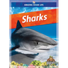 Sharks