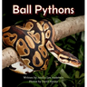 Ball Pythons